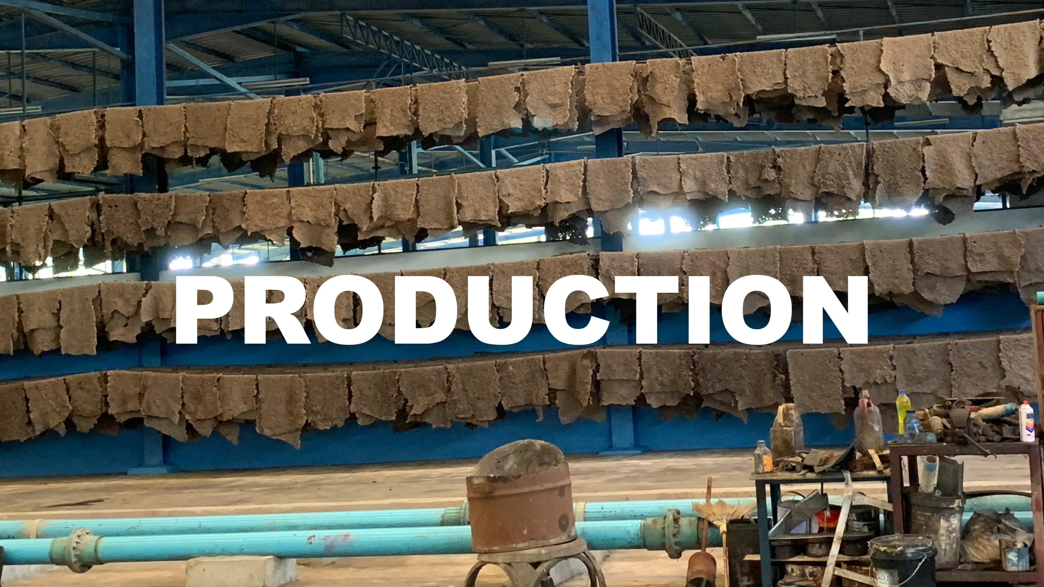 From Plantation to Product: Behind the Scenes of Hevea Natural Rubber Production