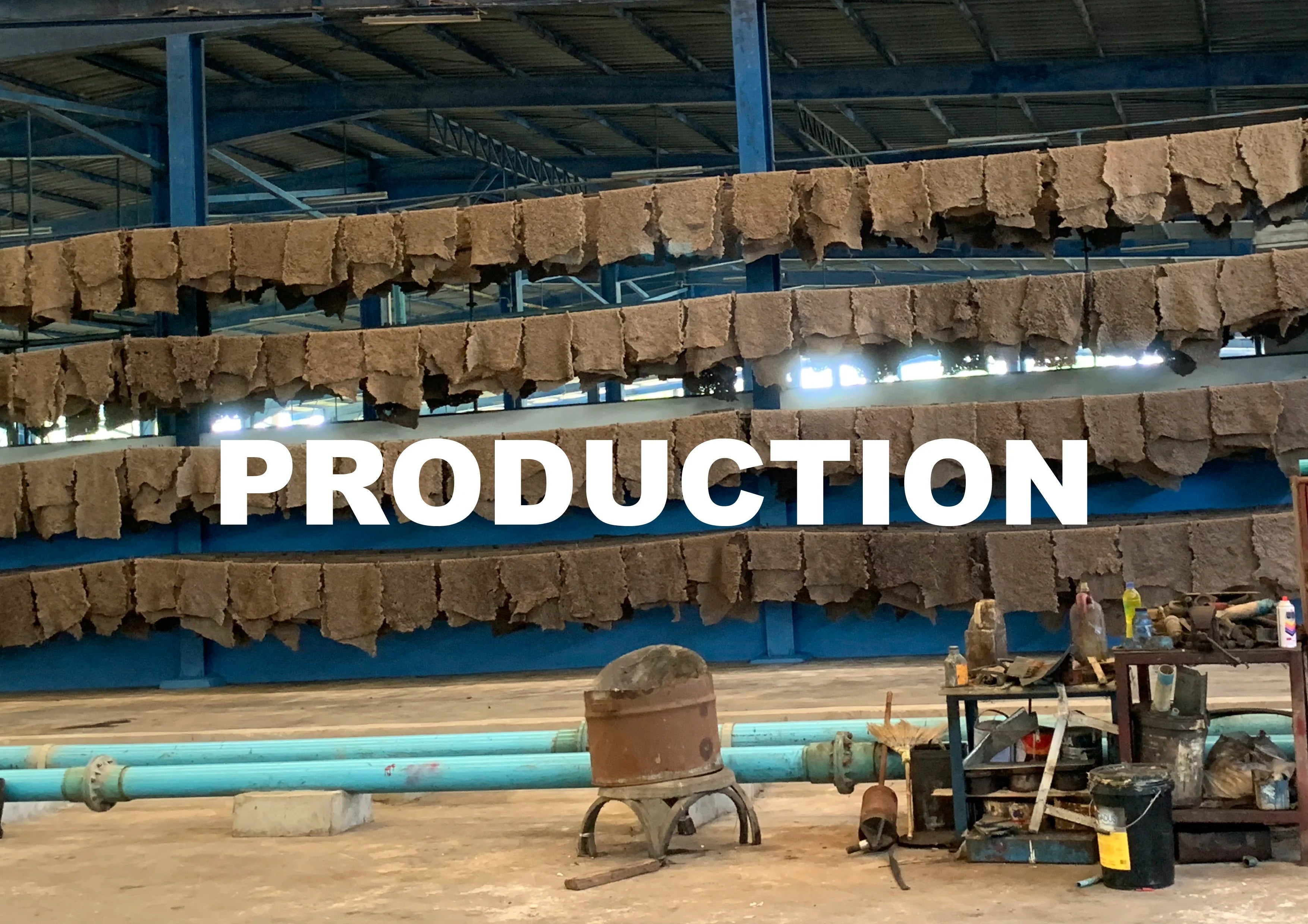 From Plantation to Product: Behind the Scenes of Hevea Natural Rubber Production