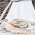 Decorative items including a rubber duck and starfish on a woven mat with a blurred natural background.